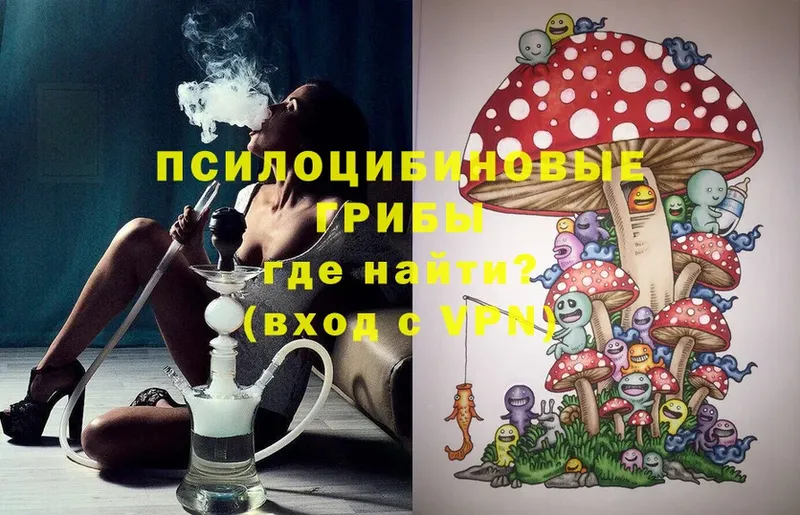 Псилоцибиновые грибы Magic Shrooms  Североморск 